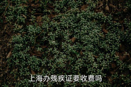 上海辦殘疾證要收費嗎