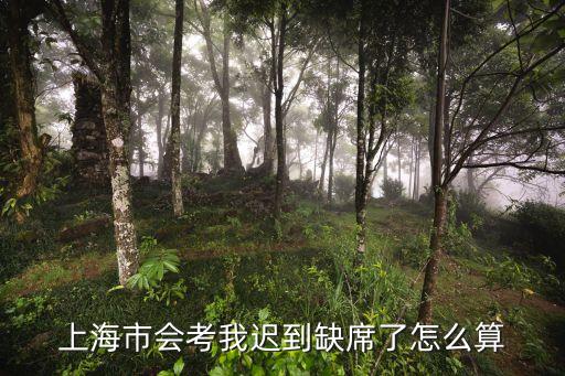 上海市缺席缺課網絡，上海公用事業學校的網絡選修的網址是什么