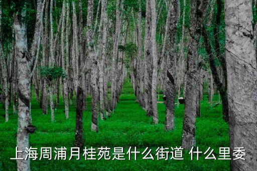 上海市月桂路是什么區，月城路屬于上海哪個區