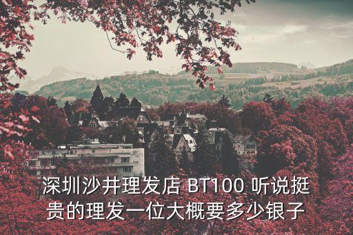 深圳天價理發店，深圳哪里的發廊電發手藝比較好又便宜怎么去