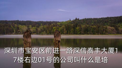 深圳市鴻大創，深圳市紅荔路上步工業區10 棟2 樓這是什么單位的地址