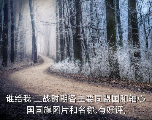 誰給我 二戰時期各主要同盟國和軸心國國旗圖片和名稱,有好評,