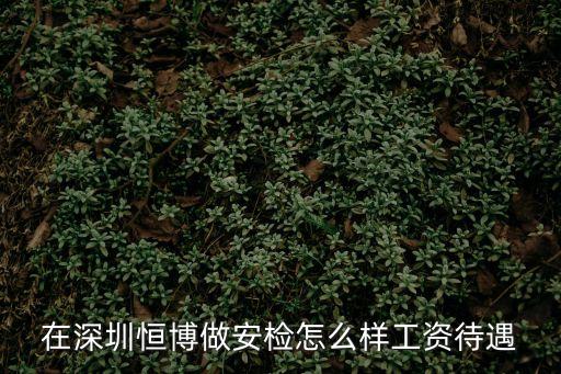 在深圳恒博做安檢怎么樣工資待遇