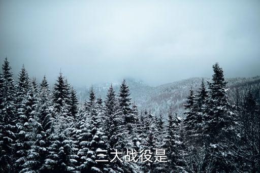 三大戰(zhàn)役,解放戰(zhàn)爭三大戰(zhàn)役:遼沈淮海平津戰(zhàn)役決定性一戰(zhàn)