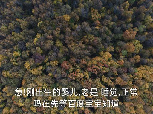 急!剛出生的嬰兒,老是 睡覺,正常嗎在先等百度寶寶知道