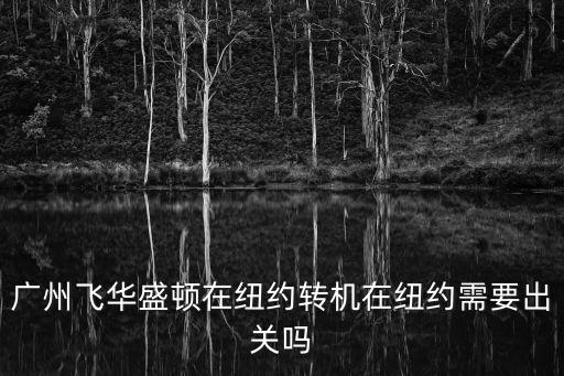 廣州飛華盛頓在紐約轉機在紐約需要出關嗎