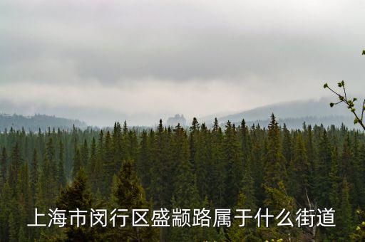 上海市閔行區 盛路，上海市閔行區盛顓路屬于什么街道