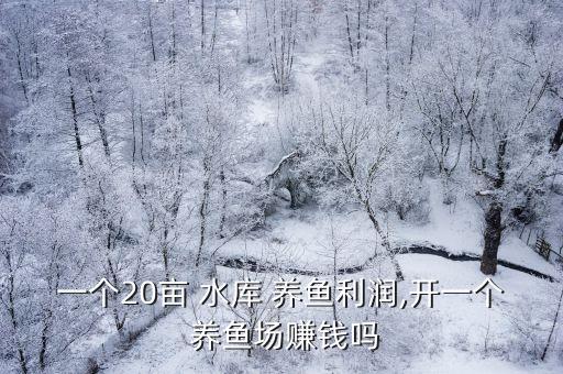 一個(gè)20畝 水庫 養(yǎng)魚利潤,開一個(gè) 養(yǎng)魚場賺錢嗎