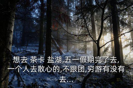 想去 茶卡 鹽湖,五一假期完了去,一個人去散心的,不跟團,窮游有沒有去...