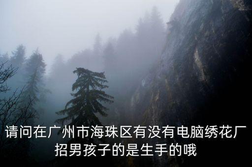 廣州電腦繡花廠招聘，廣州那里招繡花工做到過年的
