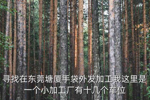 尋找在東莞塘廈手袋外發加工我這里是一個小加工廠有十幾個車位