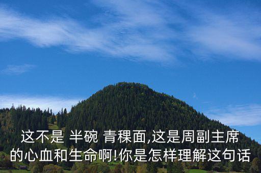 這不是 半碗 青稞面,這是周副主席的心血和生命啊!你是怎樣理解這句話