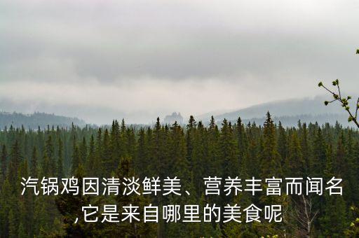 汽鍋雞,汽鍋能做什么?
