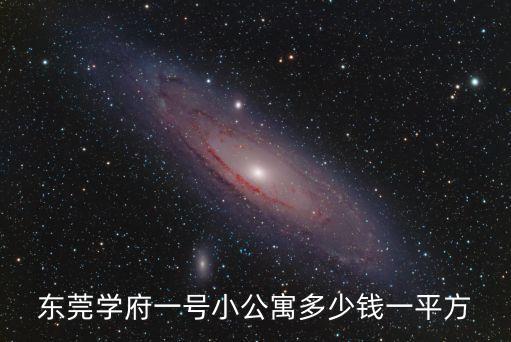 東莞學府一號小公寓多少錢一平方