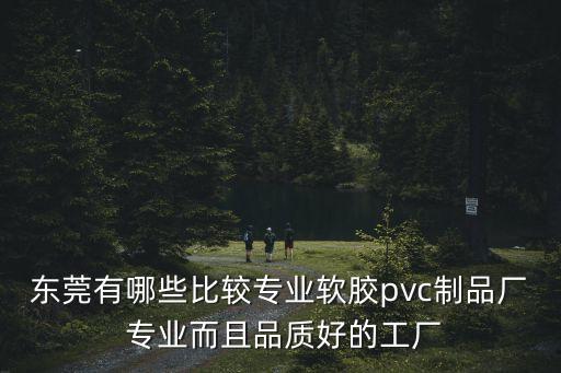 東莞pvc陳列掛條哪家好，東莞有哪些比較專業軟膠pvc制品廠 專業而且品質好的工廠