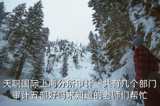 天職國際上海分所審計一共有幾個部門審計五部好嗎求知道的老師們幫忙