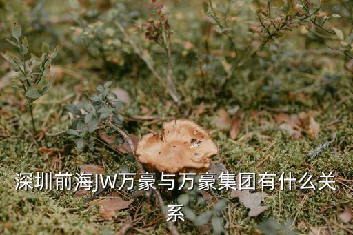 深圳前海JW萬豪與萬豪集團有什么關系