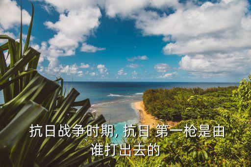  抗日戰爭時期, 抗日 第一槍是由誰打出去的