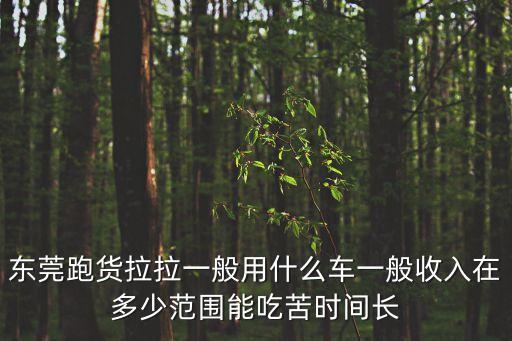 新手在東莞跑42貨拉拉怎么樣，在東莞長(zhǎng)安做貨拉拉行嗎