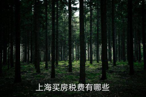 上海買房稅費(fèi)有哪些