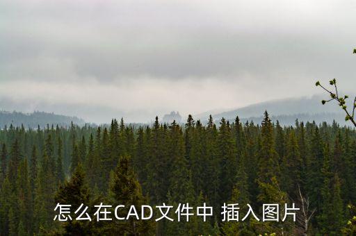 怎么在CAD文件中 插入圖片