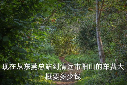 現(xiàn)在從東莞總站到清遠(yuǎn)市陽山的車費(fèi)大概要多少錢