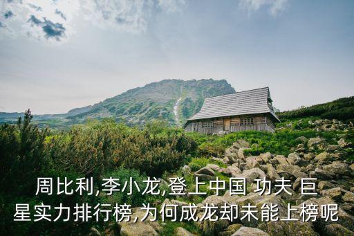 周比利,李小龍,登上中國 功夫 巨星實力排行榜,為何成龍卻未能上榜呢