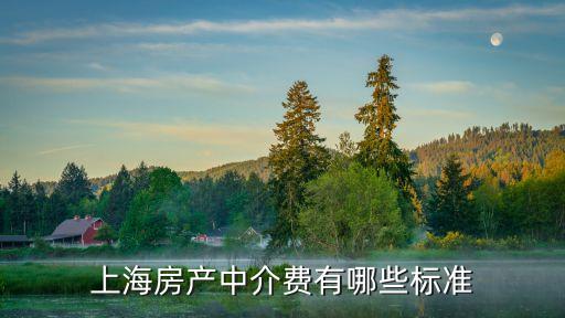 上海房產中介費有哪些標準