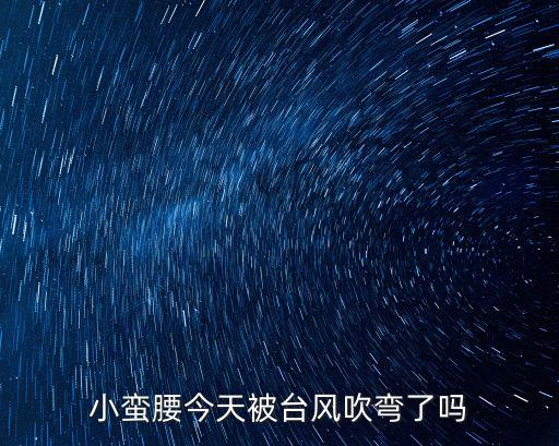 小蠻腰今天被臺風吹彎了嗎