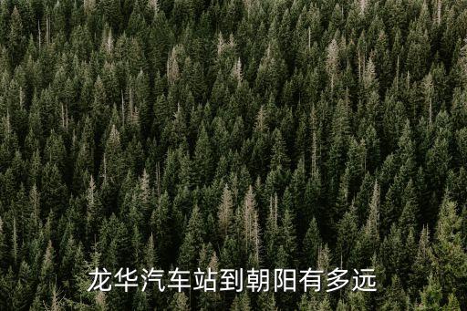 龍華汽車站到朝陽有多遠