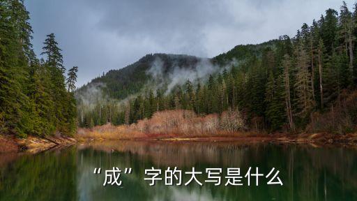 成字,選詞:馬到成功一事無成立業(yè)成家立業(yè)
