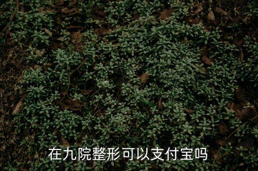 在九院整形可以支付寶嗎