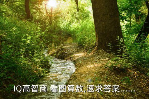 IQ高智商 看圖算數,速求答案……