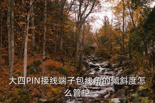 東莞4pin端子線，大四PIN接線端子包線角的傾斜度怎么管控