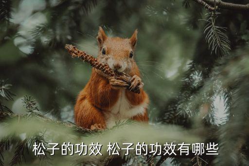 松子的功效與作用及禁忌,松子營養豐富抗衰老、潤腸通便