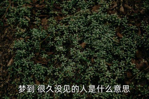 夢見很久不見的人,為什么會突然之間夢見很久不見的人