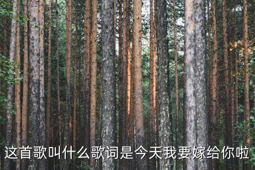 今天嫁給你，今天我要嫁給你用英語怎么說