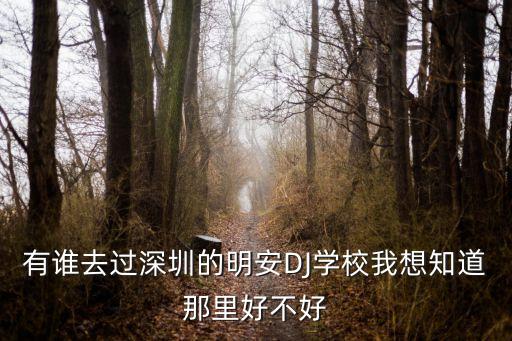 有誰(shuí)去過(guò)深圳的明安DJ學(xué)校我想知道那里好不好