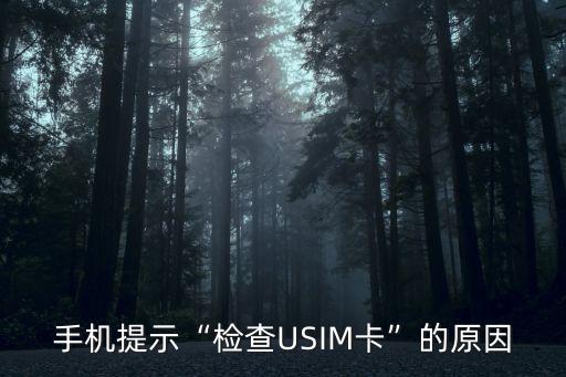 手機提示“檢查USIM卡”的原因