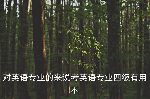 對英語專業的來說考英語專業四級有用不