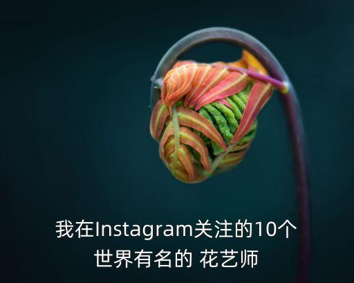 我在Instagram關(guān)注的10個世界有名的 花藝師