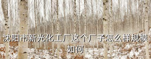 沈陽市新光化工廠這個廠子怎么樣規模如何