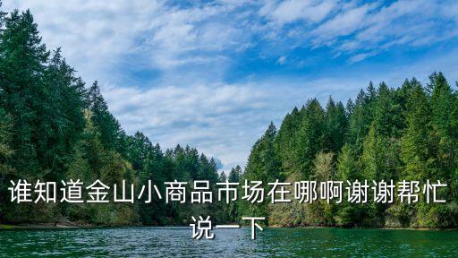 誰(shuí)知道金山小商品市場(chǎng)在哪啊謝謝幫忙說(shuō)一下