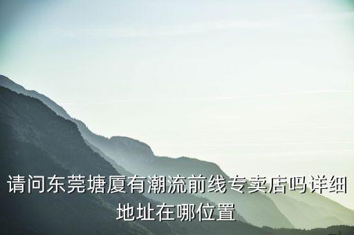 東莞市寮步潮發(fā)百貨店，東莞塘廈什么地方專門賣潮鞋