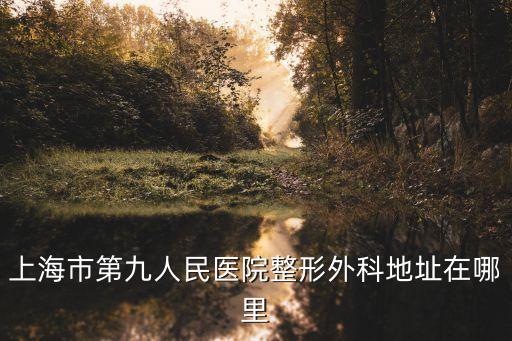 上海市第九人，上海市第九人民醫(yī)院整形外科地址在哪里