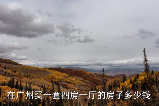 在廣州買一套四房一廳的房子多少錢
