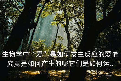 如何作愛,愛情是一個系統工程?