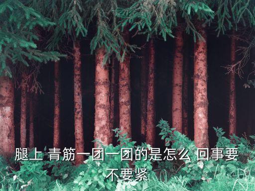腿上青筋明顯是怎么回事,腿上有青筋是怎么回事?腿部青筋突出并凸出皮膚