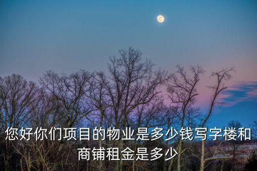 您好你們項目的物業(yè)是多少錢寫字樓和商鋪租金是多少