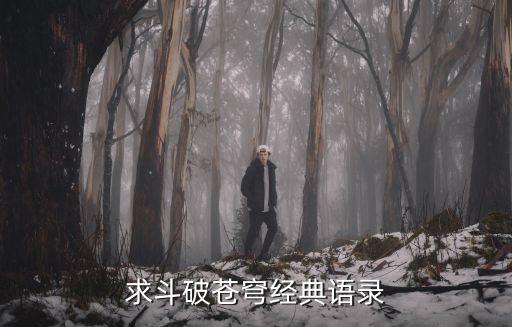 斗破蒼穹經典語錄，斗破蒼穹中的經典語錄有嗎